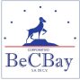BecBay servicios de seguridad